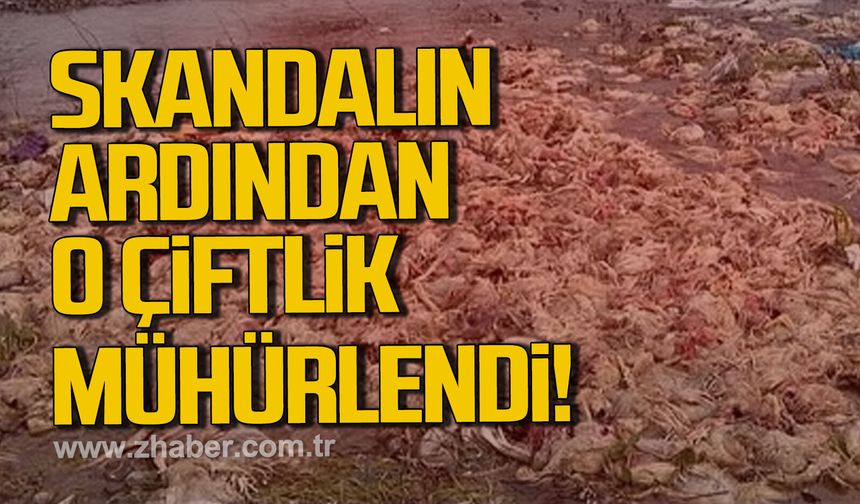 Alaplı’da tavuk çiftliğine kapatma cezası