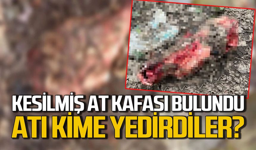 Kesilmiş ve derisi yüzülmüş at kafası bulundu: Atı kim kimlere yedirdi?