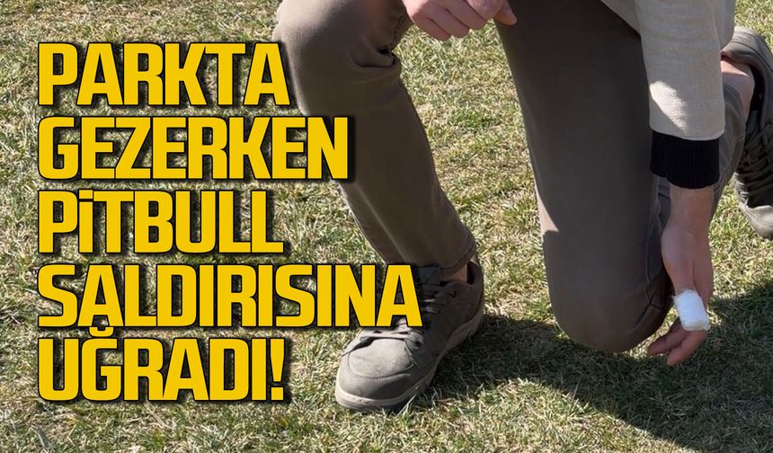 Köpeği ile parkta gezerken pitbull saldırısına uğradı