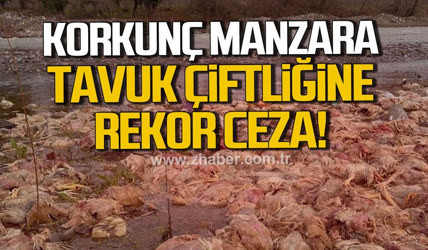 Alaplı’da tavuk çiftliğine rekor ceza