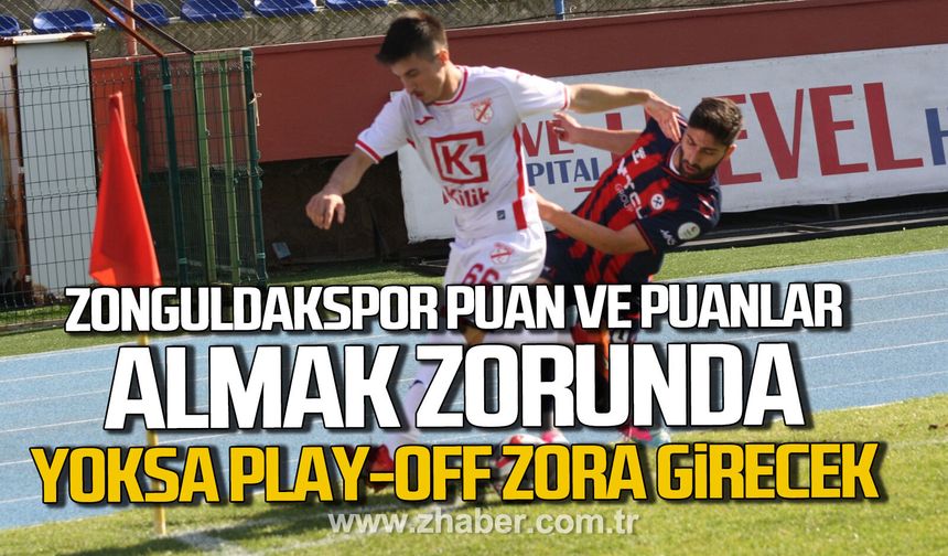 Temsilcimiz Zonguldakspor ile Sebat Gençlikspor’u lig tarihinde 4. Kez karşılaşacak.