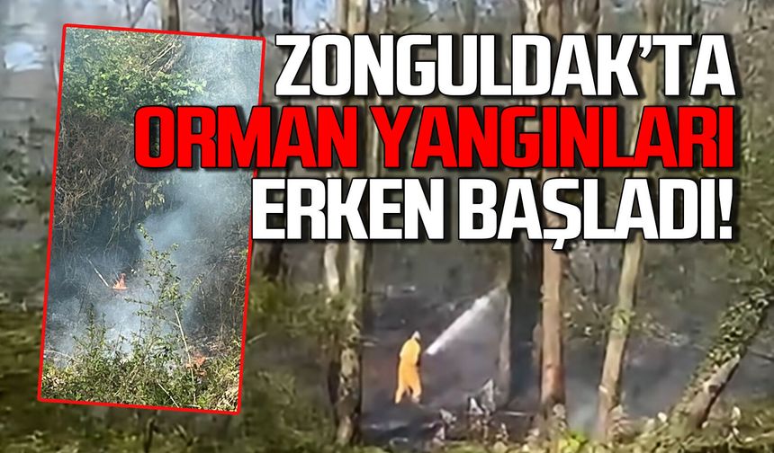 Zonguldak’ta orman yangını kabusu erken başladı!