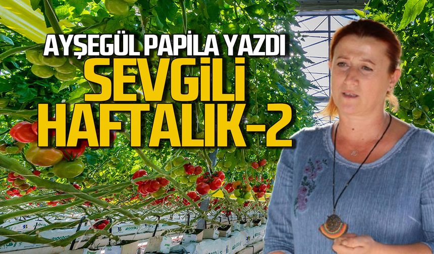 Papila: Sevgili haftalık-2