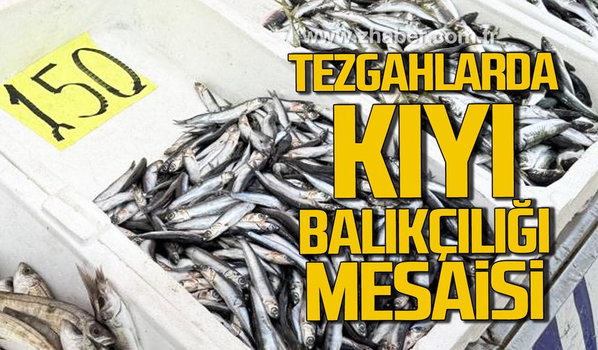 Zonguldak'ta tezgahlarda kıyı balıkçılığı mesaisi.