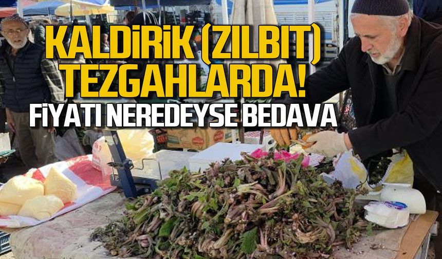 Kaldirik (Zılbıt) tezgahlarda, fiyatı neredeyse bedava