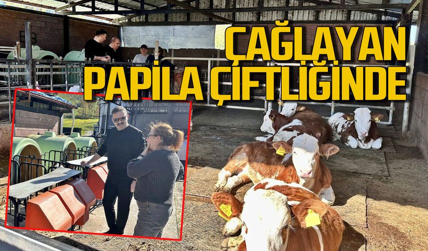 Mustafa Çağlayan Ayşegül Papila’nın çiftliğini gezdi, emeğe hayran kaldı