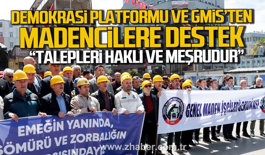 Demokrasi Platformu ve GMİS'ten madencilere destek açıklaması