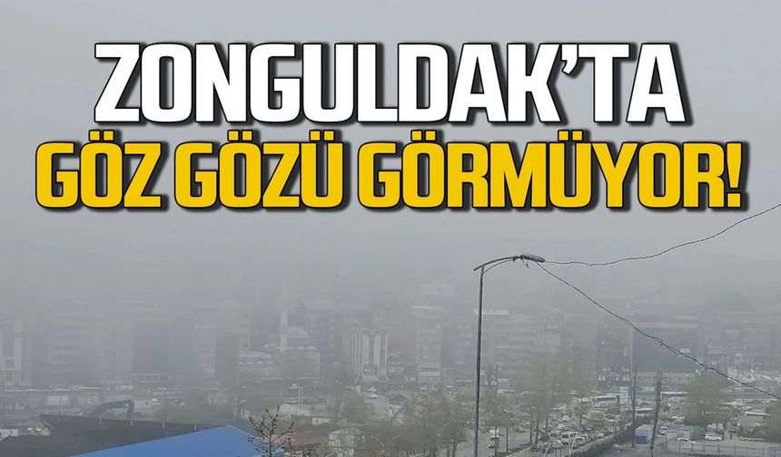 Zonguldak’ta yoğun sis... Görüş mesafesi 50 metrenin altında