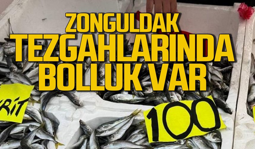 Zonguldak balık tezgahlarında bolluk var