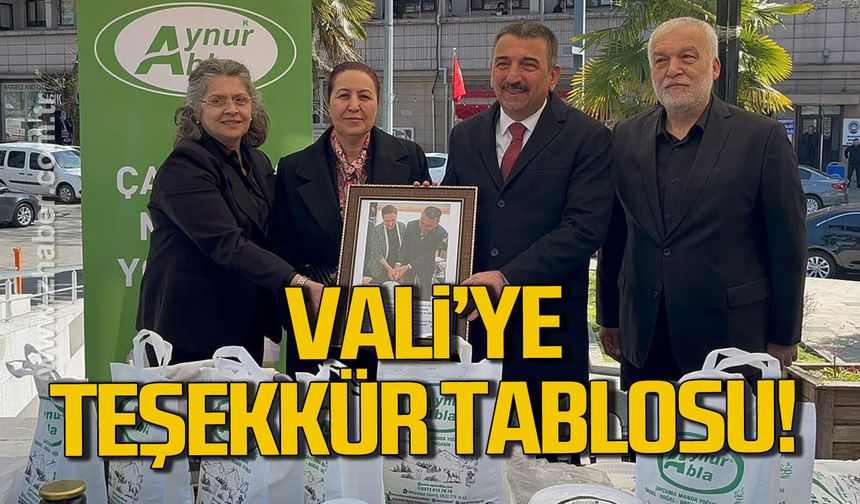 Vali Hacıbektaşoğlu’na teşekkür tablosu