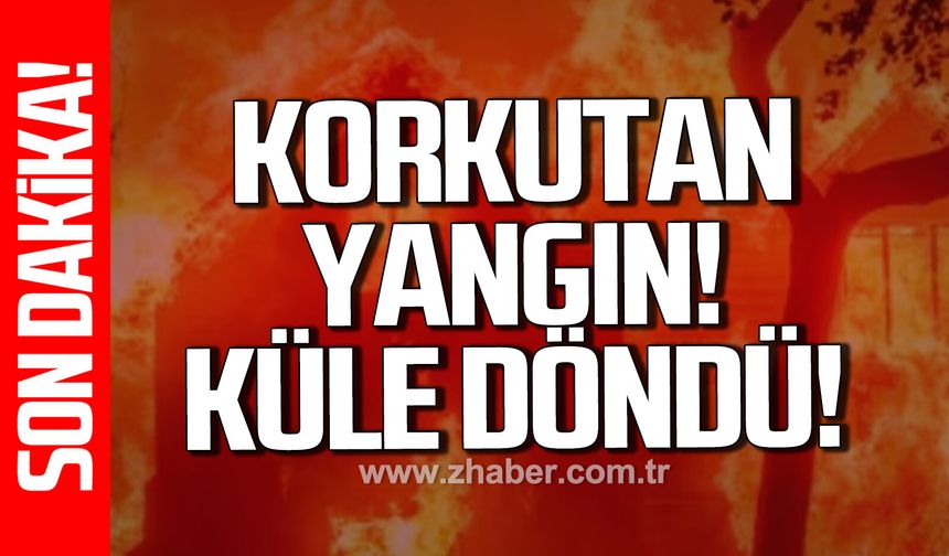 Zonguldak Gaca'da yangın paniği