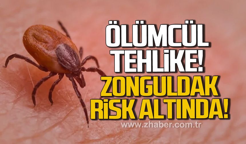 Ölümcül tehlike. Zonguldak risk altında