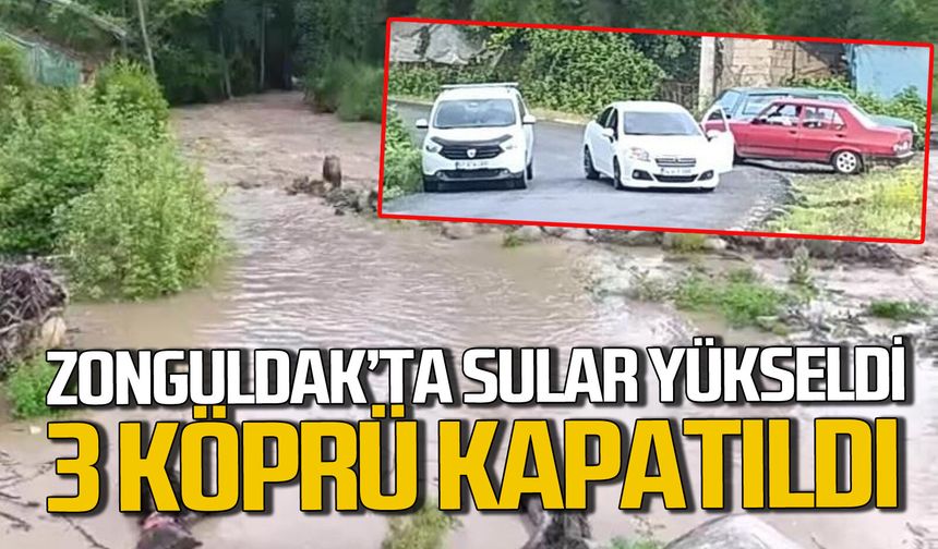 Zonguldak'ta dere sularının yükselmesi nedeniyle üç köydeki köprüler ulaşıma kapatıldı
