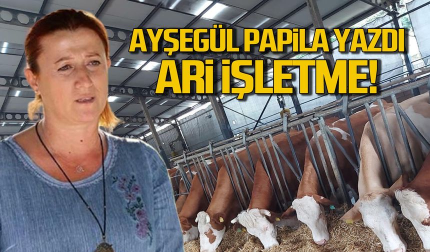 Ari işletme