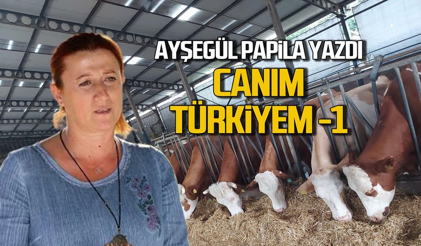 Canım Türkiyem