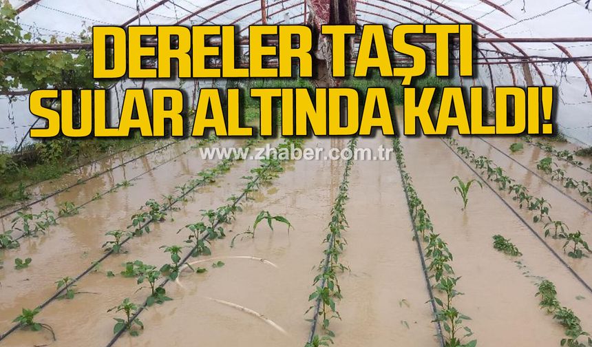 Nebioğlu’nda dereler taştı, Evler ve tarım arazileri sular altında kaldı