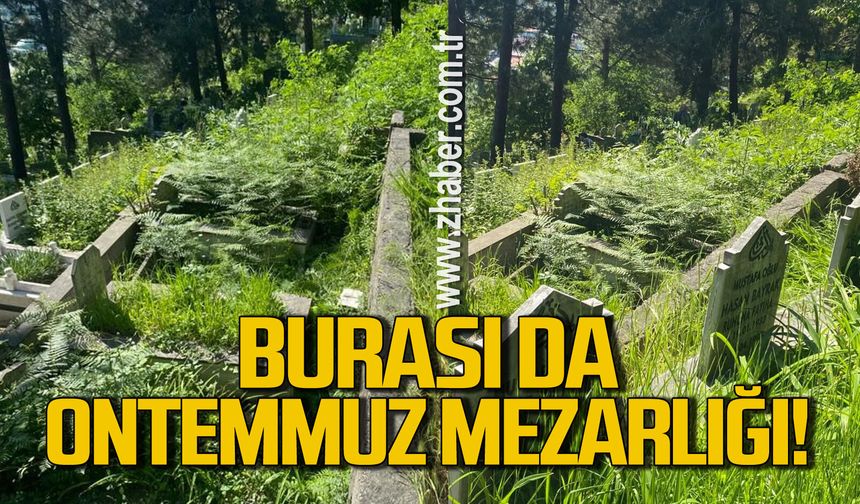 Burası da Ontemmuz Mezarlığı: Ormanlık mı mezarlık mı?