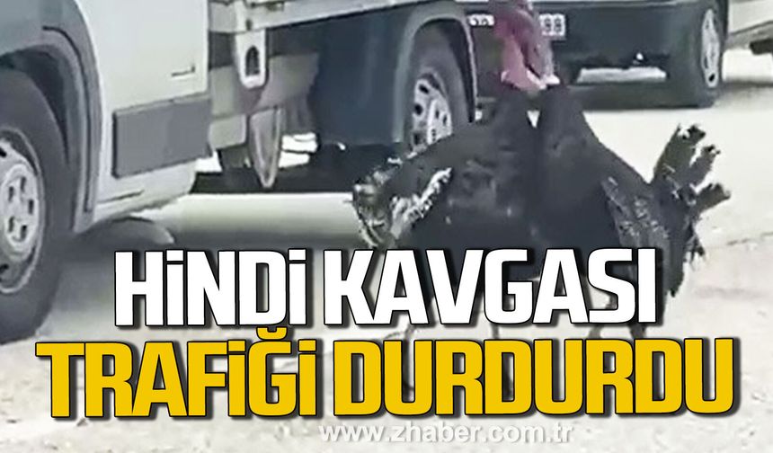 Karabük’te hindi kavgası trafiği durdurdu.