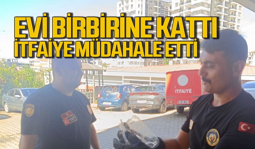 Kozlu’da eve giren küçük misafir ortalığı karıştırdı! İtfaiye seferber oldu