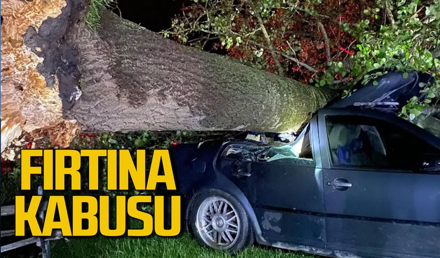 Fırtına korku yaşattı: Ağaçlar araçların üzerine devrildi