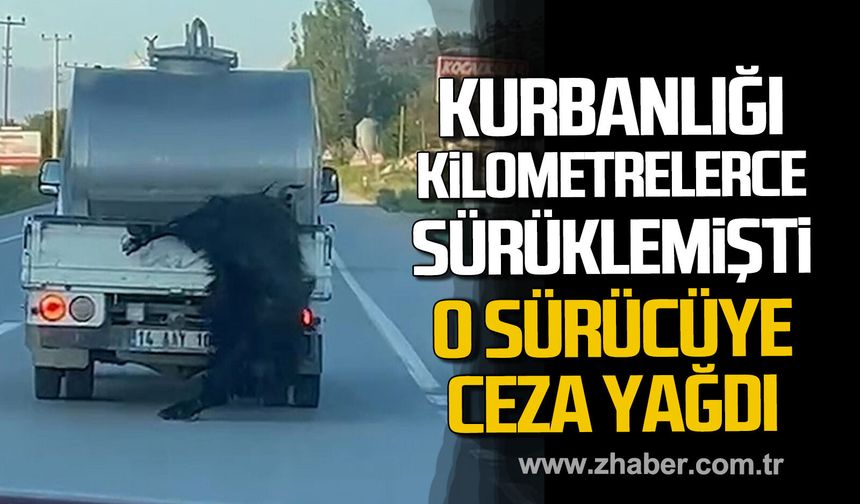 Bolu'da kurbanlığı kilometrelerce sürüklemişti. O sürücüye ceza yağdı.