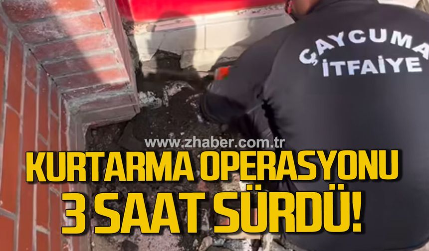 Çaycuma’da ekipler seferber oldu: 3 saatlik operasyonla kurtarıldı