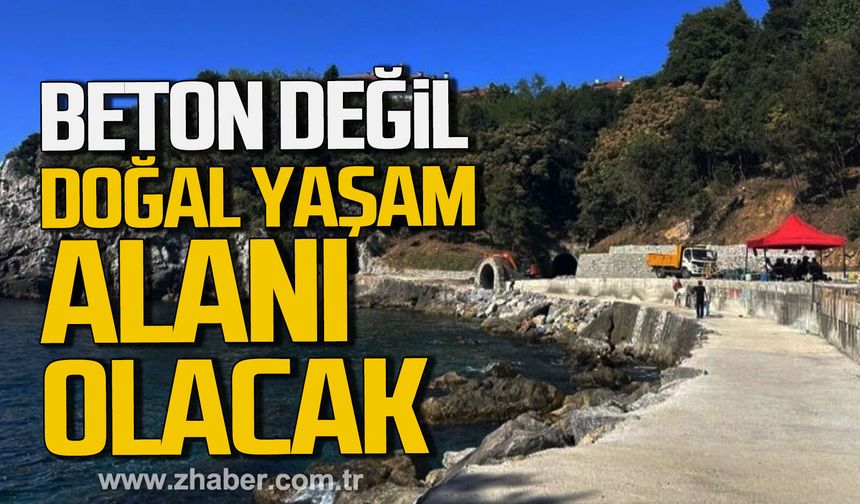 Tahsin Erdem; "Beton değil, doğal yaşam alanı oluşturacağız."