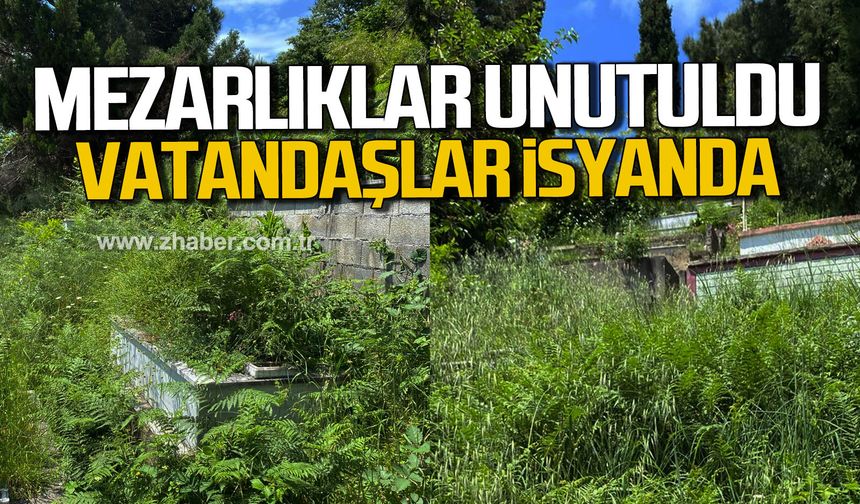 Zonguldak’ta mezarlıklar unutuldu. Vatandaşlar isyanda.