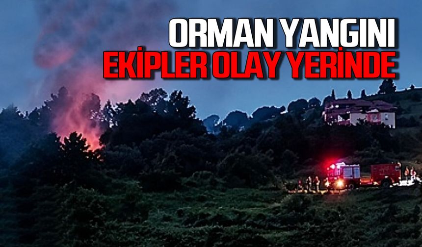 Orman yangını panik yaşattı: Ekipler seferber oldu