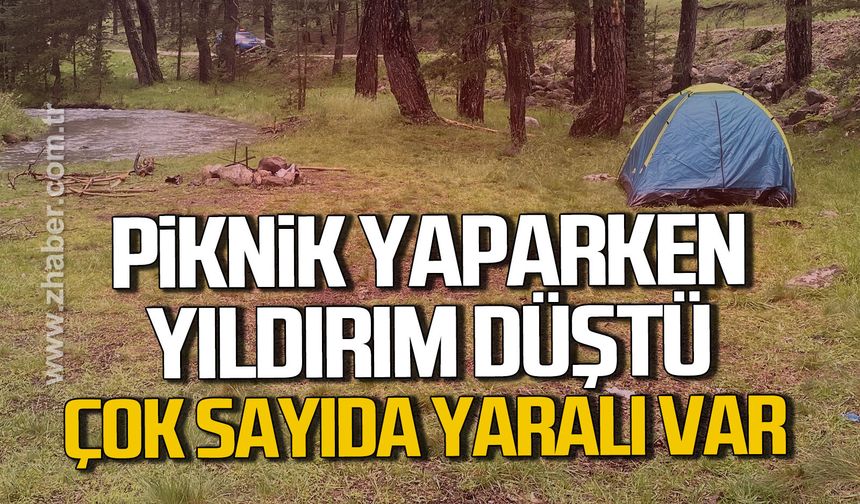 Piknik yaptıkları alana yıldırım düştü: 1'i ağır 3 yaralı