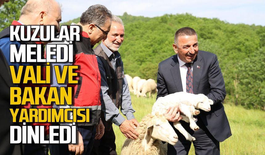 Kuzular meledi Vali ve Bakan yardımcısı dinledi!