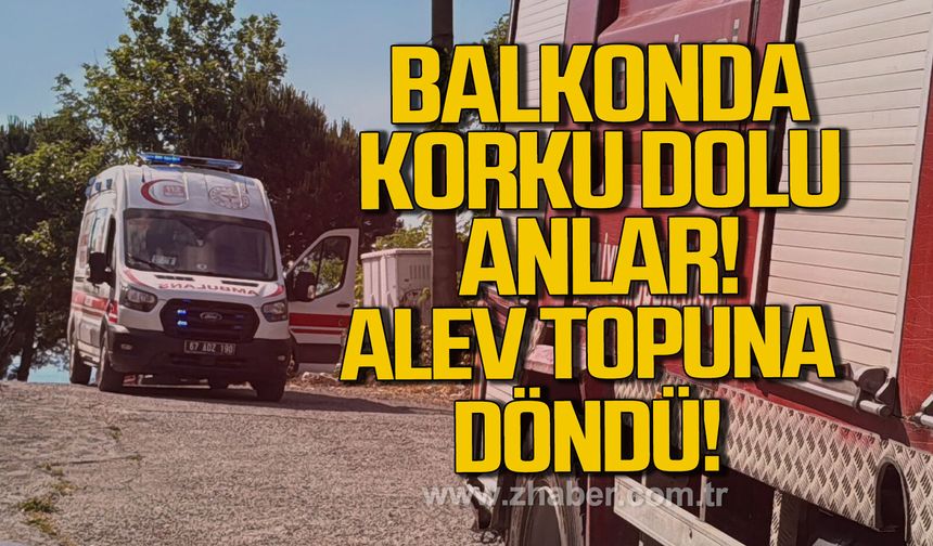 Alaplı’da alev topuna dönen piknik tüpü korkuttu