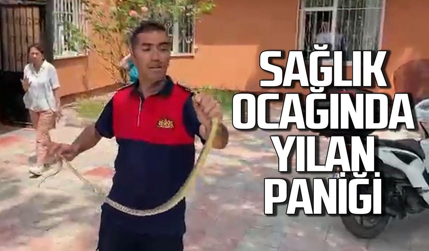 Sağlık ocağında yılan paniği