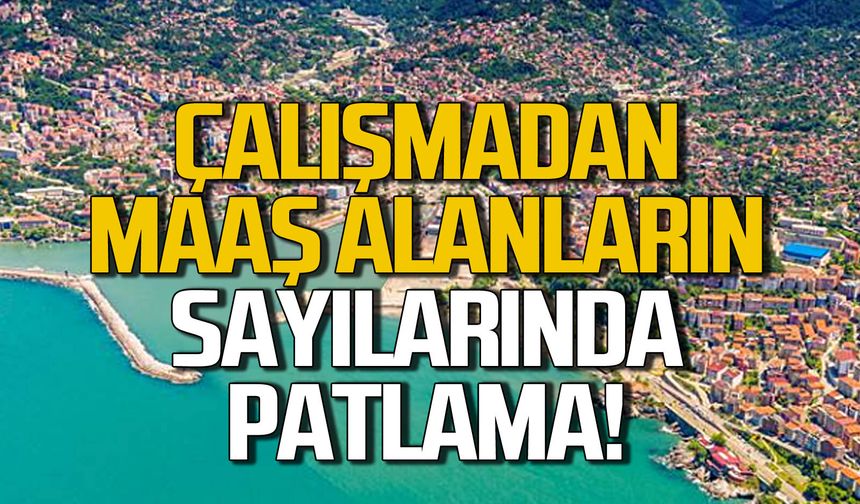 Zonguldak'ta çalışmadan maaş alanların sayısında patlama!