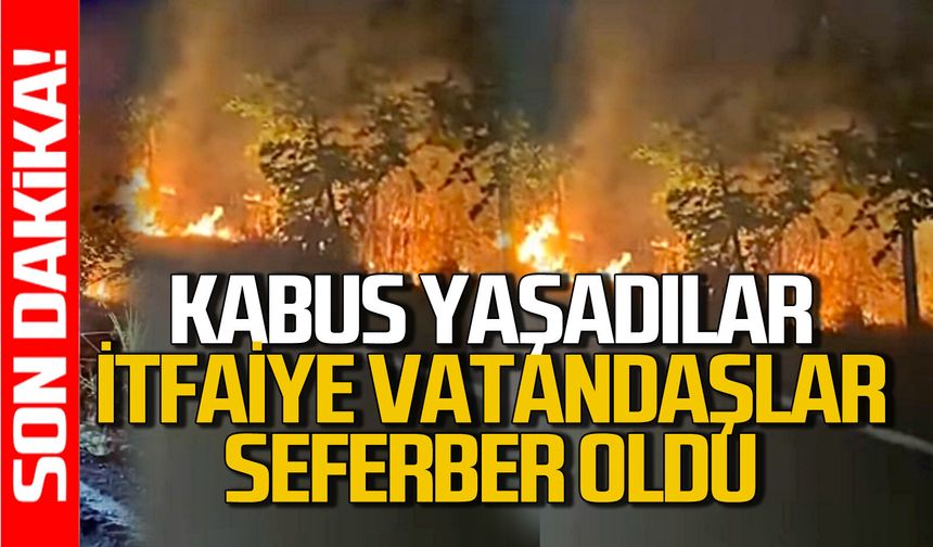 Yangın büyük panik yaşattı: Ekipler ve vatandaşlar seferber oldu