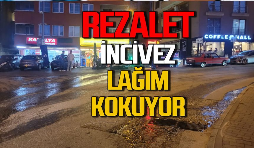 İncivez lağım kokuyor!