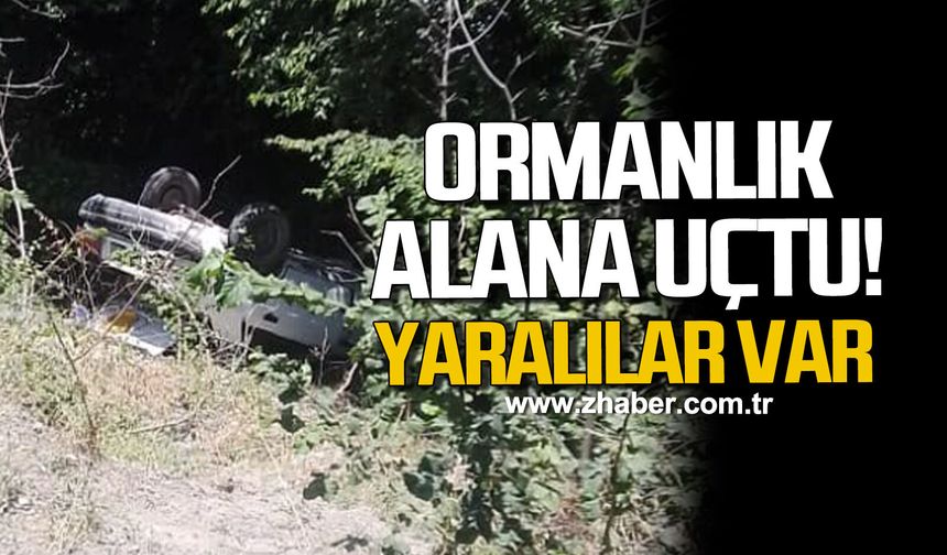 Ormanlık alana uçan otomobildeki 3 kişi yaralandı