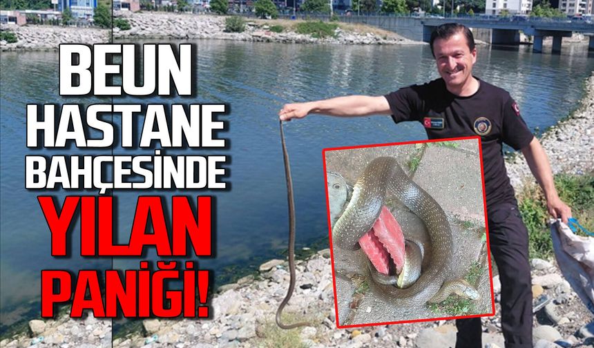 BEUN hastane bahçesinde yılan paniği
