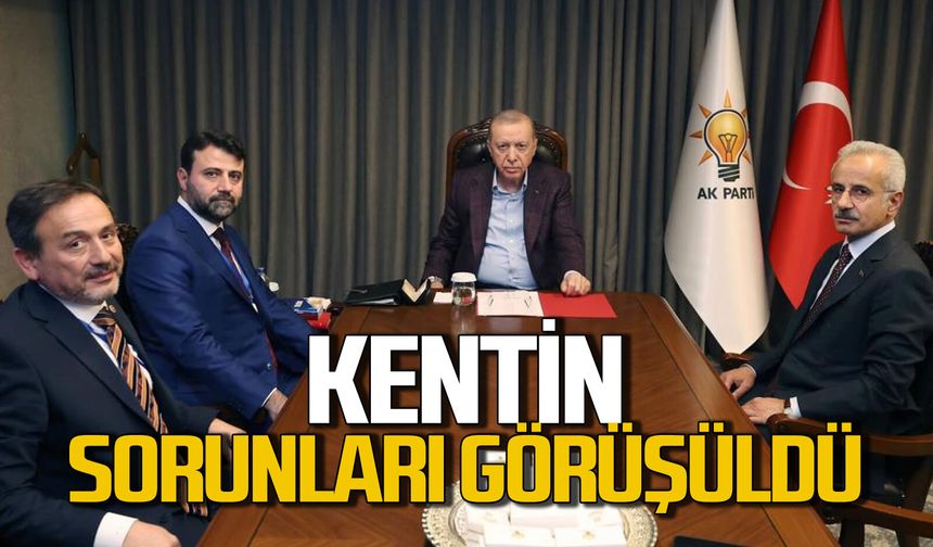 Milletvekilleri Şahin ve Keskinkılıç, Cumhurbaşkanı Erdoğan ile sorunları görüştü