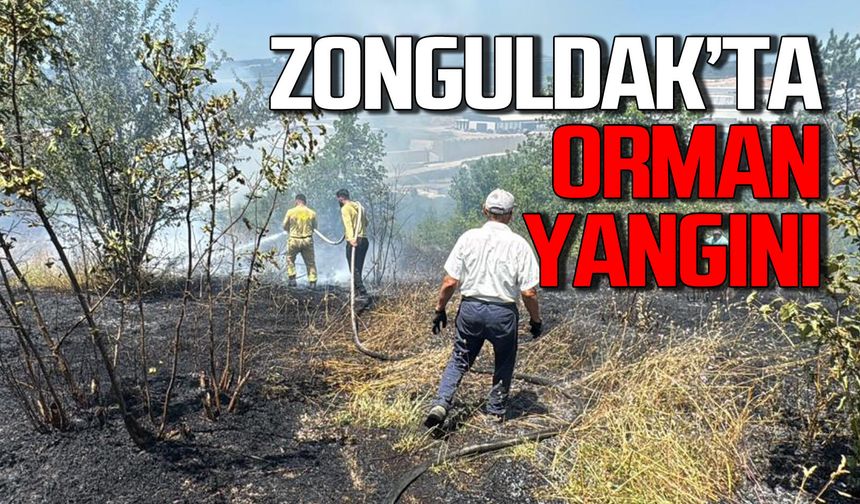 Ormana sıçrayan yangın büyük zarar verdi: Ekipler ve vatandaşlar seferber oldu