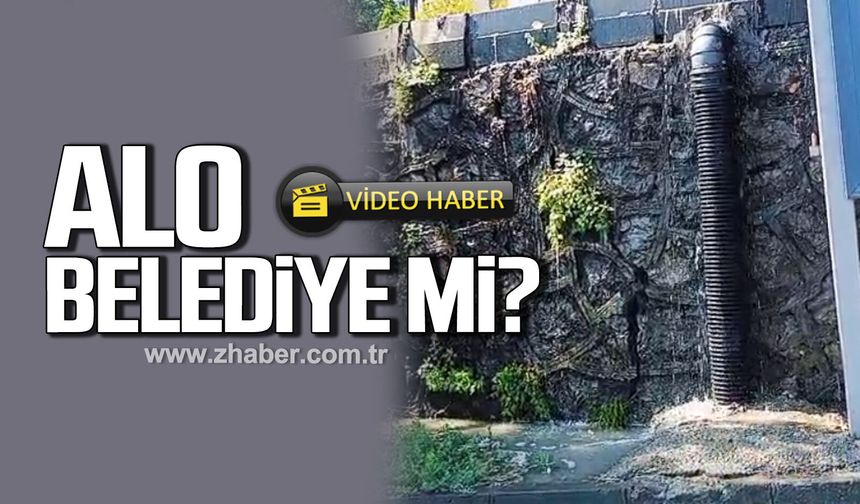 Alo Belediye mi?
