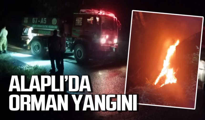 Zonguldak'ın Alaplı İlçesi'nde orman yangını