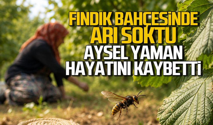 Fındık bahçesinde arı soktu, Aysel Yaman hayatını kaybetti