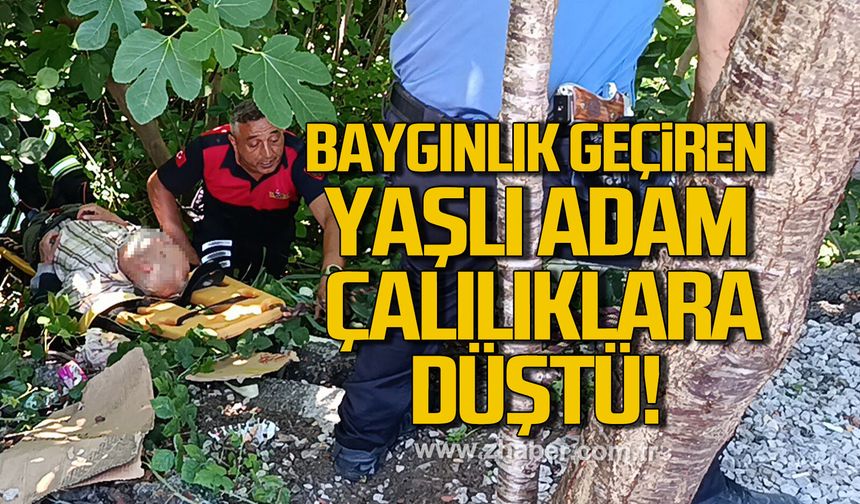 Bartın'da baygınlık geçiren yaşlı adam çalılıklara düştü