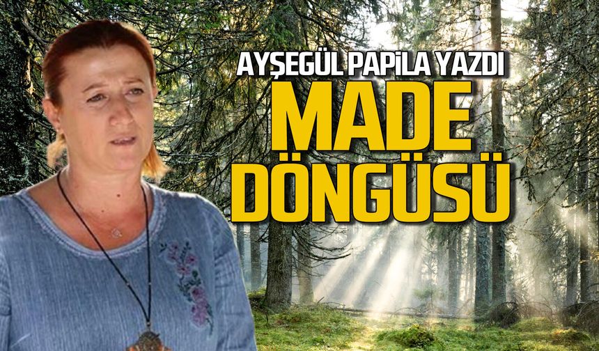 Madde Döngüsü