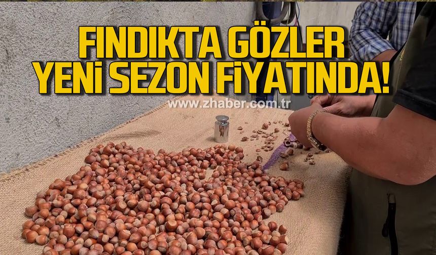 Fındıkta gözler yeni sezon fiyatında