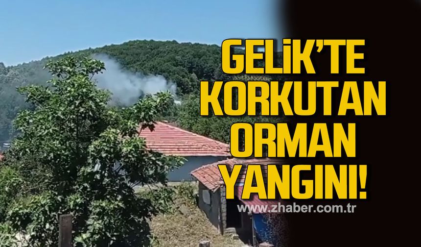 Gelik Ayici mahallesi’nde orman yangını