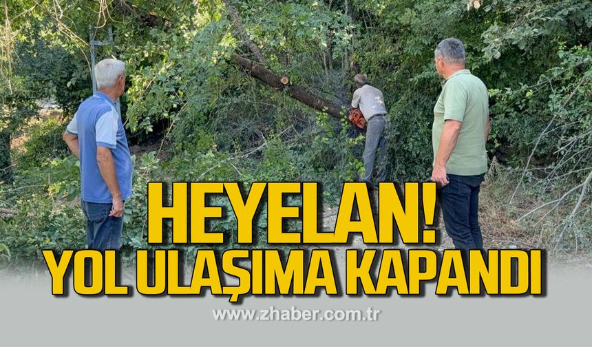Karabük'te heyelan. Yol ulaşıma kapandı
