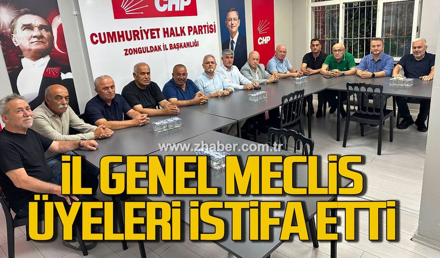 Zonguldak İl Genel Meclis üyeleri istifa etti