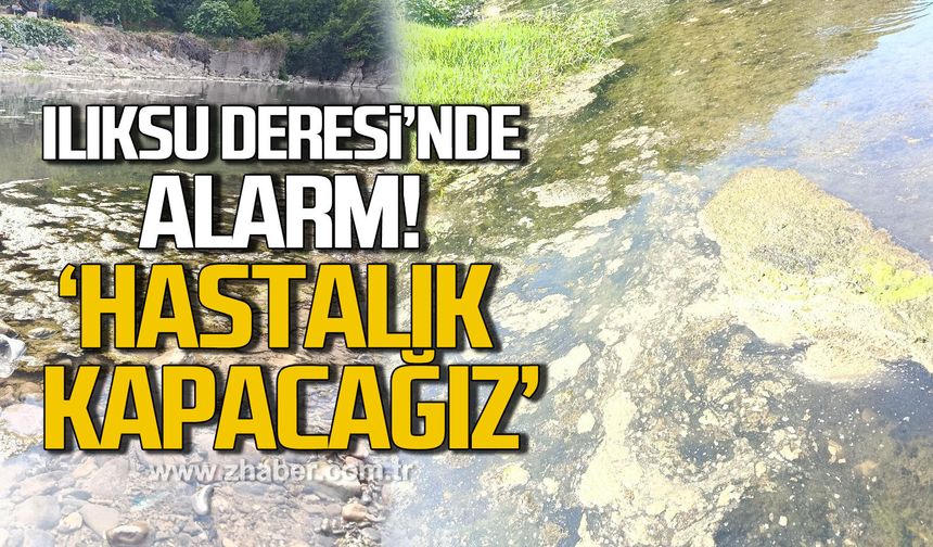 Ilıksu Deresi'nde alarm "Hastalık kapacağız”